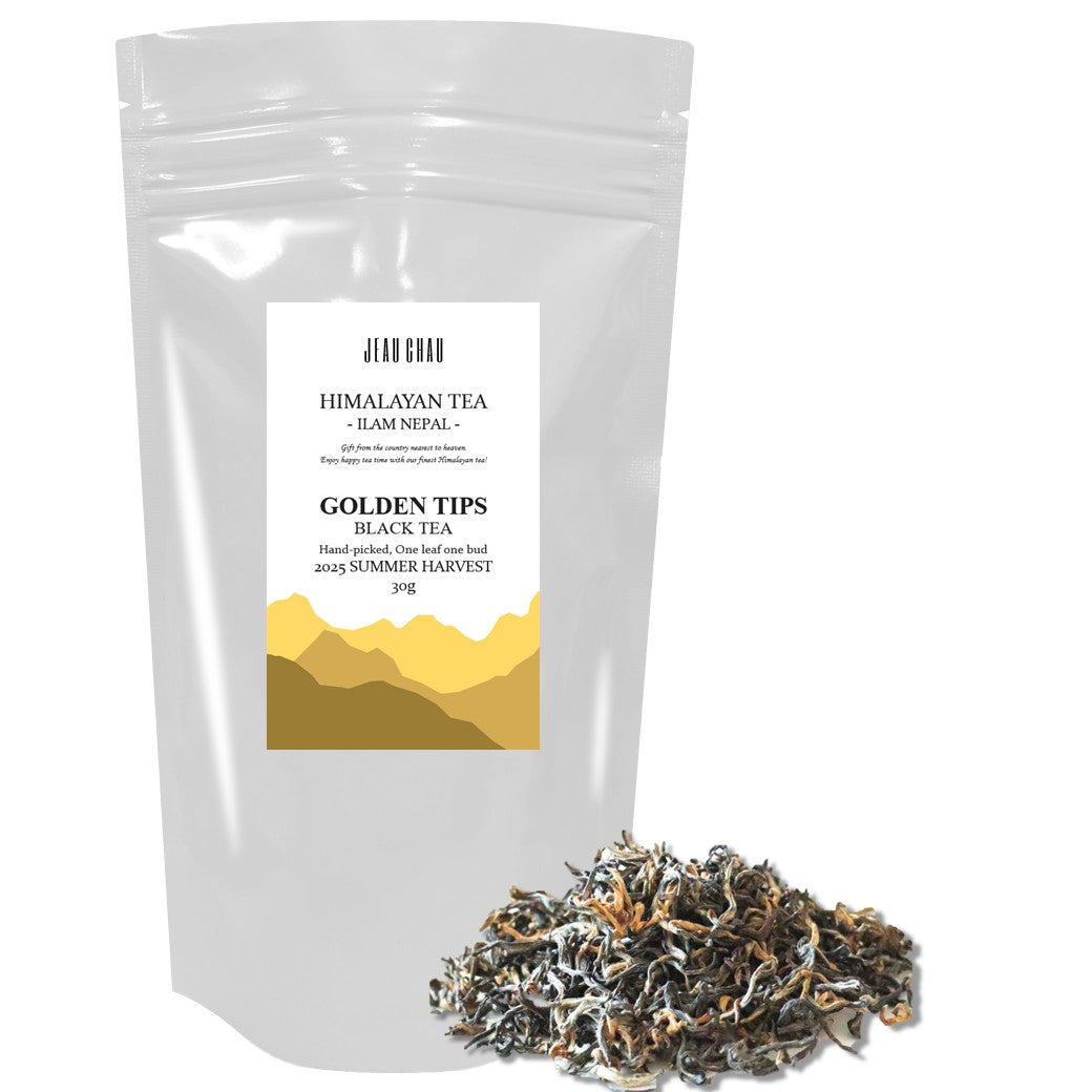 希少 1900年 3面金装飾 GOLDEN TIPS 紅茶 研究書 アンティーク 数量限定】Golden Tips ゴールデンチップ 紅茶の王様 セイロンティー