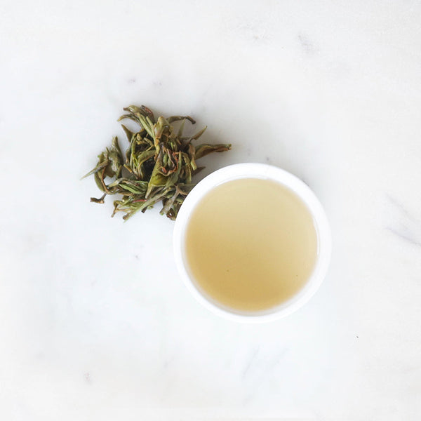 【予約販売】 White Tea (Silver Tips) 30g | 2023 AUTUMNAL