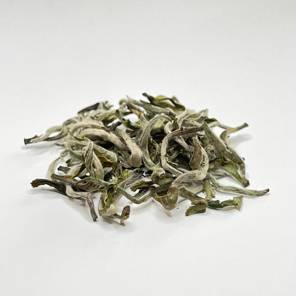 White Tea (Silver Tips) 30g | 2023 FIRST FLUSH